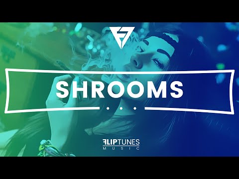 PARTYNEXTDOOR x Kehlani Type Beat | R&B Instrumental | "Shrooms" | FlipTunesMusic™