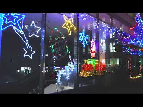 【流通経済大学】新松戸キャンパスでクリスマスイルミネーション実施中！