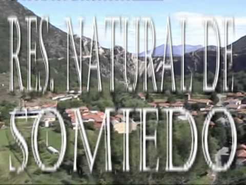 UN VERANO CON PINK FLOYD vs METALLICA 1 de 2