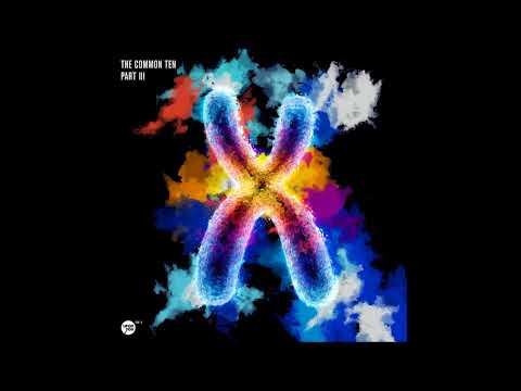Marcus Sur - Synergism (Original Mix)