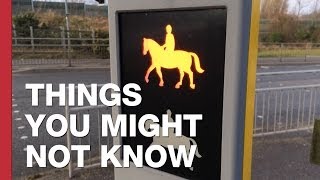 There Are Special Crossings For Horses In Britain