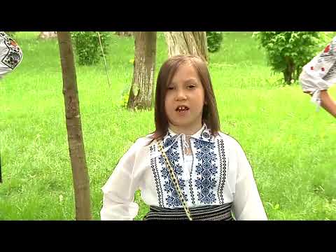 FLORIN COZMA -  ROMÂNAȘUL