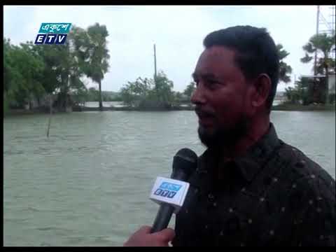 ইয়াসের আঘাতে পটুয়াখালী ও সাতক্ষীরায় মাছের ঘেরের ব্যাপক ক্ষতি হয়েছে
