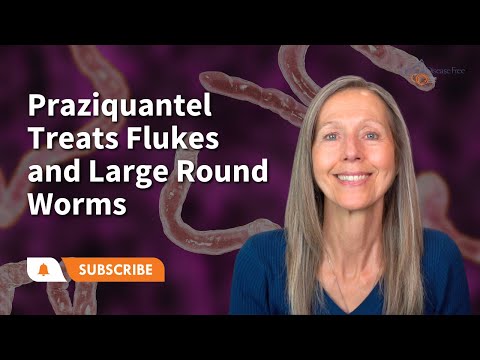 Biltricide Praziquantel 600mg tablet - Distocide