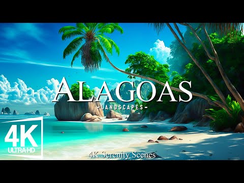 Alagoas 4K - Exploring the Pristine Beaches of Brazil's Hidden Gem | 4K VIDEO HD