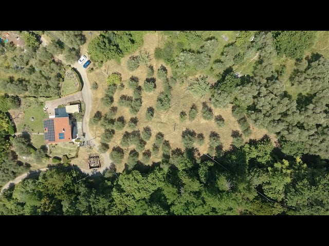 PROGETTO GREEN BUONVIAGGIO