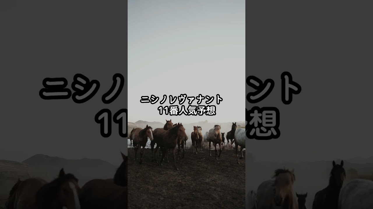 アメリカジョッキークラブカップ2025年予想＃AJCC #automobile