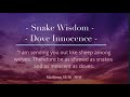 Snake Wisdom   Dove Innocence