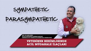Veteriner Hekimliğinde Acil Müdahale İlaçları