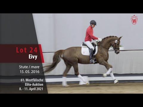 61. Elite-Auktion Trainingsvideo Lot 24 Eivy Stute v. Escolar - Diatano