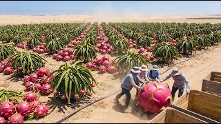Download lagu Transform the Sahara Desert Into a Giant Dragon Fruit Orchard! mp3