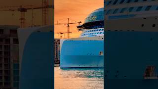 Icon of the Seas 🛳️ #subscribe #royalcaribbean #cruise #vacation #shortvideo #shortsvideo #shorts
