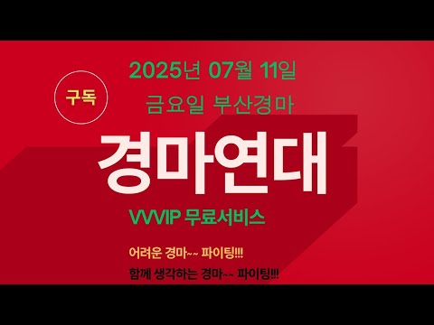 2025년 07월 11일 금요일 부산경마