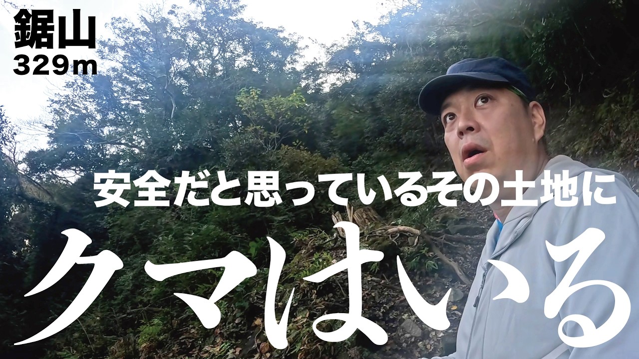 熊はいない。それは本当に真実ですか？