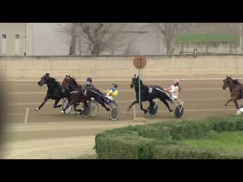 Ippodromo dei Sauri - 1' corsa del 2.3.2025