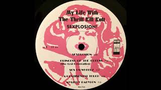 My Life with the Thrill Kill Kult – Mystery Babylon
