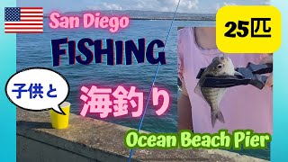 🇺🇸アメリカでサビキ釣り🌊 初心者🔰いっぱい釣れた 🐟