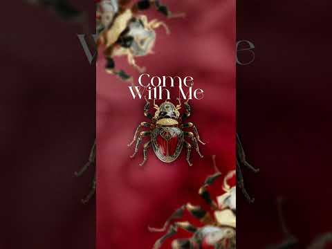 Leville , Etonika  - Come With Me