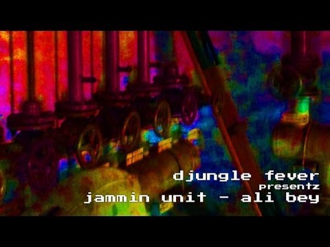 Jammin Unit - Ali Bey (Djungle Fever / Liquid Sky Berlin)