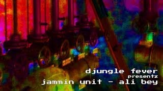 Jammin Unit - Ali Bey (Djungle Fever / Liquid Sky Berlin)