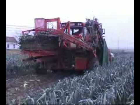 LAUWERS POIREAU-MATIC