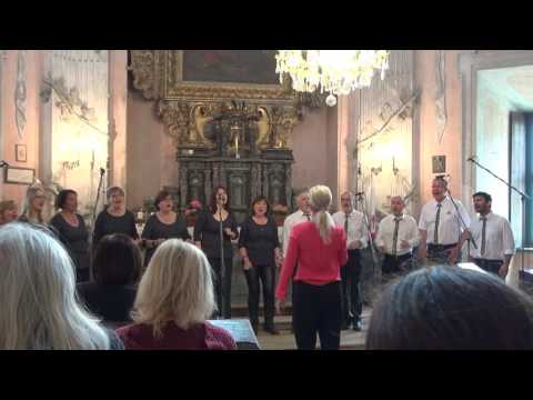 Myšmaš Praha - Vousatý svět (Choltice 2017)