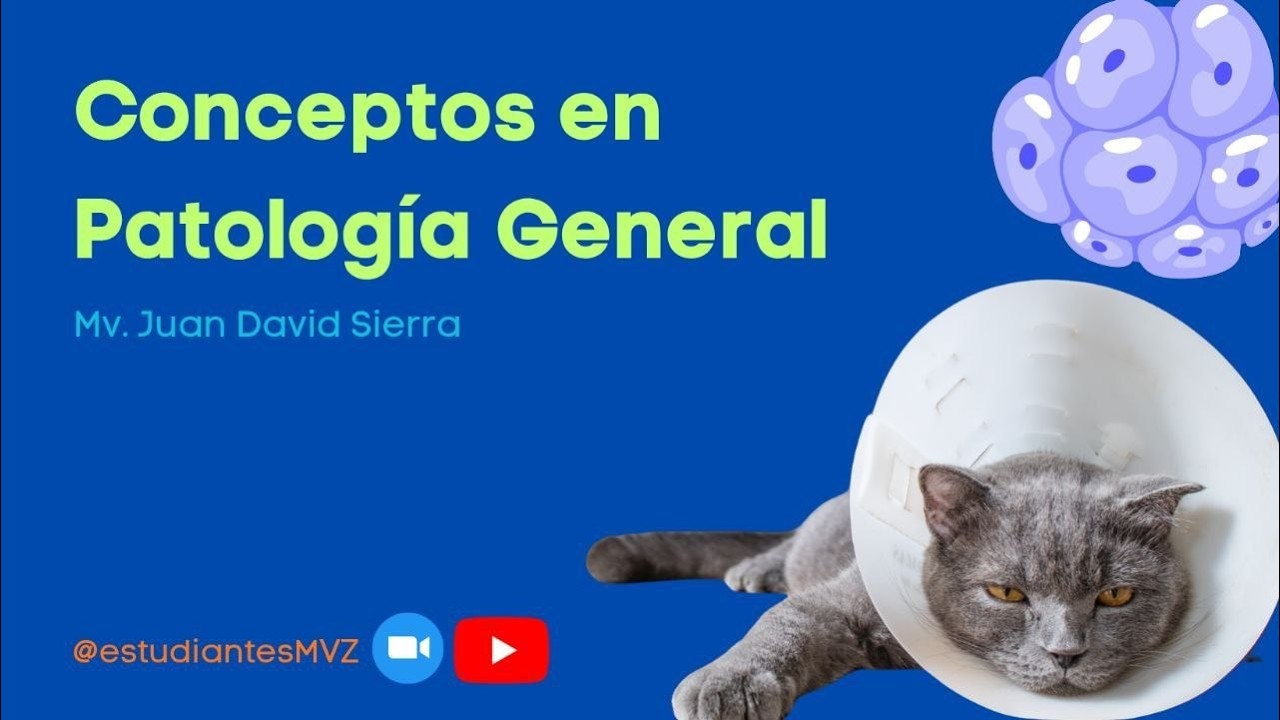 Patología Veterinaria - Cambios Celulares