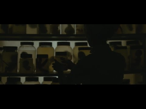 EVOLUTION | 2016 | Exclusive Clip "Nurse"