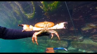 Norway - Freediving for crabs & scallops / Royksopp - Vision One