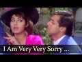 I Am Very Very Sorry Tera Naam - Salman Khan - Sridevi - CHand Ka Tukda - Bollywood Hit Songs I Am Very Very Sorry Tera Naam - Salman Khan - Sridevi - CHand Ka Tukda - Bollywood Hit Songs