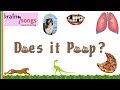 7 Characteristics Of Living Things