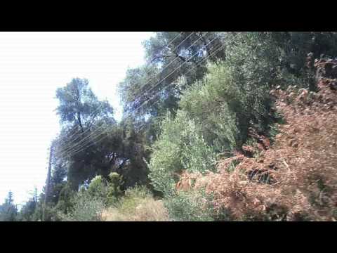 RODA KAROUSADES (CORFU)