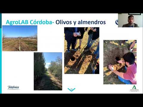 Agrodigital 2020 | Caso real: El control de clima con sensores, experiencia prctica en olivo y ctricos