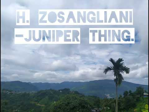 H. Zosangliani. -Juniper thing.