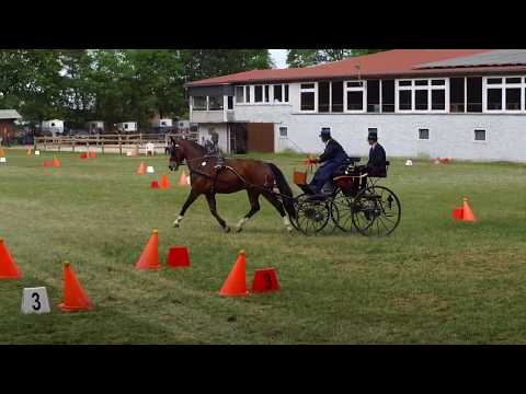 Fahrturnier Alfhausen 25.5.2019