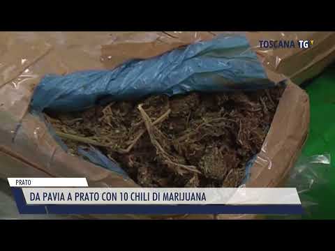 2022-11-04 PRATO - DA PAVIA A PRATO CON 10 CHILI DI MARIJUANA