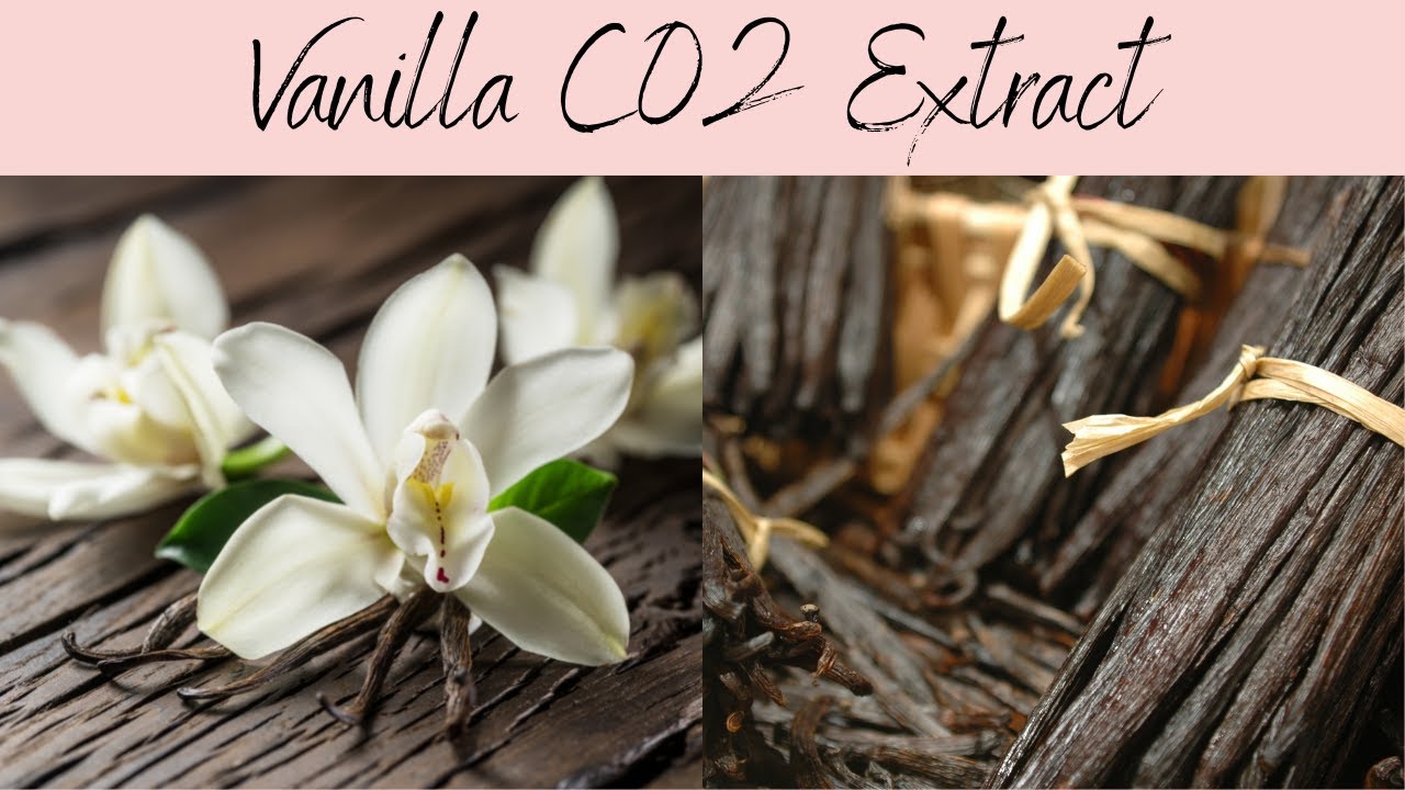Vanilla CO2 Extract, INCI: Vanilla Plantifolia. Anti Acne, Rich Vanilla Aroma!