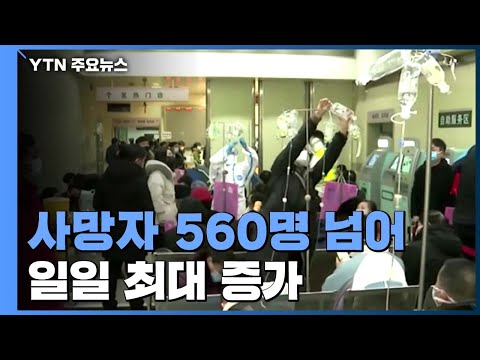 아이콘
