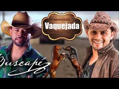 Novas Músicas Mano Walter & Busca Pé Arreio de Ouro   CD SÓ VAQUEJADA 2018 Encontro dos Reis