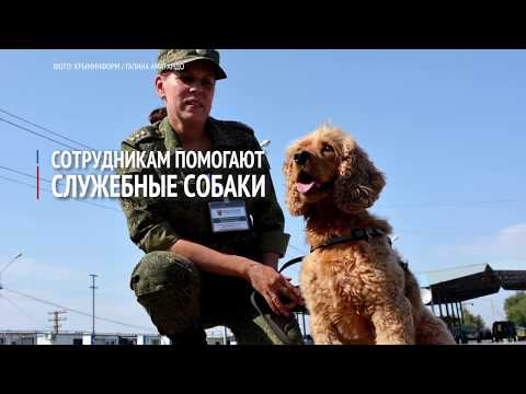 Российский пограничный пункт "Армянск" в Крыму
