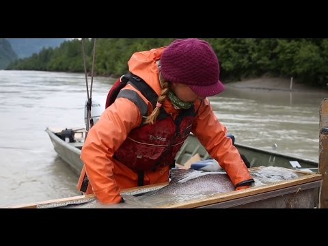 Swimming Upstream Trailer 1