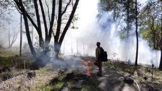preview picture of video 'Fire for Water: Forest Restoration for Ashland'