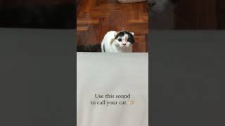 Use this Sound to Call Your Cat 🐈
