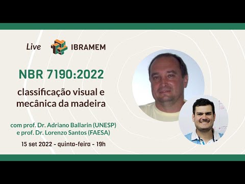 Classificação visual e mecânica da madeira segundo a norma NBR7190 (2022)