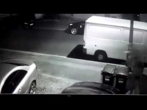 sky rods or skyfish??? creature caught on cctv