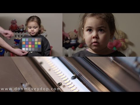 Bladelight - Detailed Review - DonMcvey