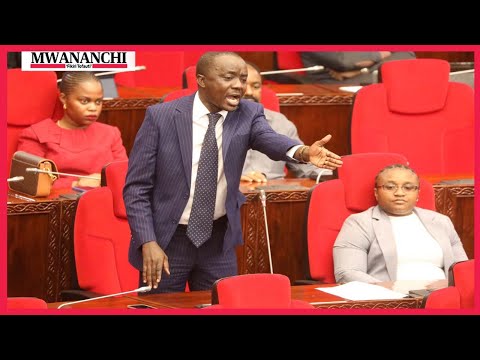 Msukuma aliamsha Bungeni sakata la mradi wa umeme wa Nyerere "Wasomi Wenzangu Mnaniangusha"