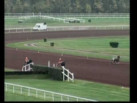 Course de Trot à Poney - Hippodrome de Lyon-Parilly - 27/11/2016
