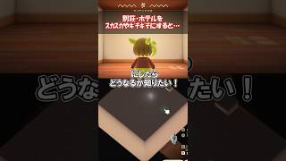 別荘やホテルがスカスカ・ギチギチだとどうなる？ 【あつ森】@ほのげ