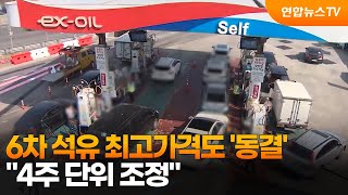 6차 석유 최고가격도 '동결'…"4주 단위 조정" / 연합뉴스TV (YonhapnewsTV)